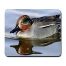 Green-Winged Wild Duck Large Mousepad FREE SHIPPING