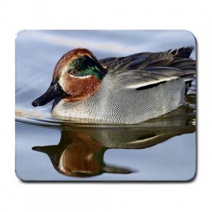 Green-Winged Wild Duck Large Mousepad FREE SHIPPING