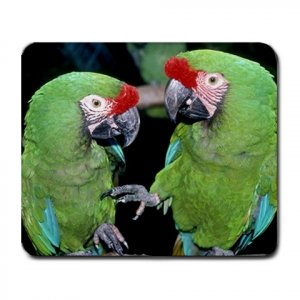 Green Macaws Parrot Birds Large Mousepad FREE SHIPPING