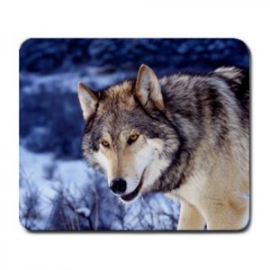 Grey Wolf in the Snow Large Mousepad FREE SHIPPING