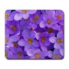 Crocus Blue Flowers Large Mousepad FREE SHIPPING