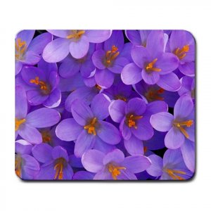 Crocus Blue Flowers Large Mousepad FREE SHIPPING