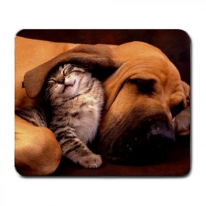 Good Friends - Cat and Dog Large Mousepad FREE SHIPPING