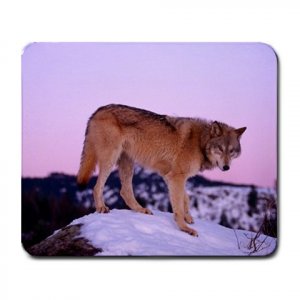 Gray Wolf at Dusk Large Mousepad FREE SHIPPING