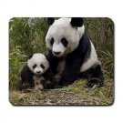 Giant Panda Mother and the Cub Large Mousepad FREE SHIPPING