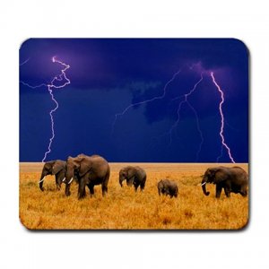 Elephants in a Storm Large Mousepad FREE SHIPPING