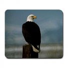 Bald Eagle on the Lookout Large Mousepad FREE SHIPPING