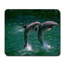Two Dolphins Large Mousepad FREE SHIPPING