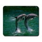 Two Dolphins Large Mousepad FREE SHIPPING