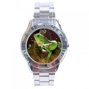 Dragon Lizard Stainless Steel Analogue Men&acirc;��s Watch FREE Shipping