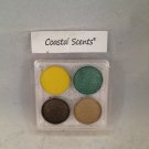Coastal Scents Mini Eyeshadow Sampler eye shadow hot pots pans