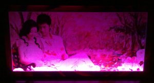 Canvas Printing with Light