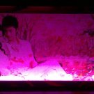 Canvas Printing with Light