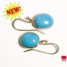Solid 14k Sleeping Beauty - Robin's Egg Blue Classic Drop Earrings