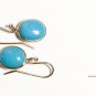 Solid 14k Sleeping Beauty - Robin's Egg Blue Classic Drop Earrings