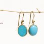 Solid 14k Sleeping Beauty - Robin's Egg Blue Classic Drop Earrings