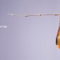 Solid 14k / Imperial Honey-Citrine Long Drop Designer Earrings