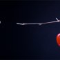 Solid 14k /    Clementine Carnelian " Acorn " Drop Earrings