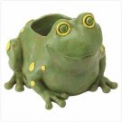Frog Container Item #: 37757