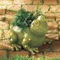 Frog Container Item #: 37757