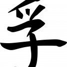 *NEW* CHINESE TRUTH VINYL WALL STICKER DECAL WELLNESS SPA *NEW* CHINESE TRUTH VINYL WALL STICKER DECAL WELLNESS SPA