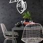 *NEW* Caught Fish Vinyl Wall Sticker Decal