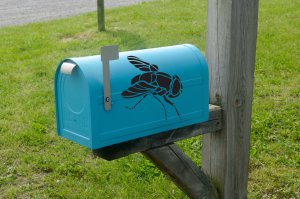 Two Large House Flies Vinyl Sticker Decals