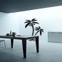 6 Foot Palm Tree Room Design Vinyl Wall Sticker Decal