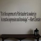 Albert Einstein Inspirational Teacher Wall Quote Sticker Decal 6"h x 22"w