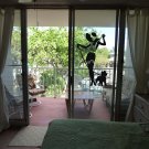 Classy Stylish Beach Girl Walking Dog Vinyl Wall Sticker Decal 38"h x 22"w