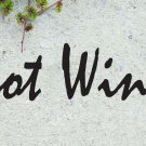 Got Wine? Quote Vinyl Wall Sticker Decal 3"h x 11"w Got Wine? Quote Vinyl Wall Sticker Decal 3"h x 11"w