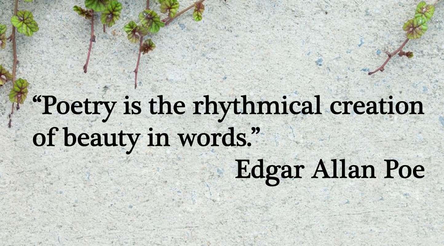 Edgar Allan Poe Poetry is the Creation of Beauty Vinyl Sticker Decal 5 ...