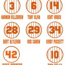 Retired Minnesota Twins Pinstripe Jersey Baseball Vinyl Decals (8 Sticker Sheet) Retired Minnesota Twins Pinstripe Jersey Baseball Vinyl Decals (8 Sticker Sheet)