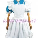 Alice in Wonderland Lolita Dress cosplay costume