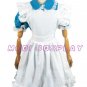 Alice in Wonderland Lolita Dress cosplay costume