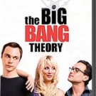 Big Bang Theory Season One