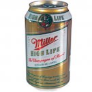 Beer Can Diversion Safe