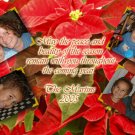 Poinsettia with Four Photos Family Custom Photo Christmas Cards 5 x 8
