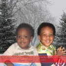 Snowy Trees with Translucent Ribbon Custom Photo Christmas Cards 5 x 8