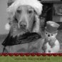 Custom Photo Christmas Cards 5 x 8 Modern Swirly Burgundy & Sage Green