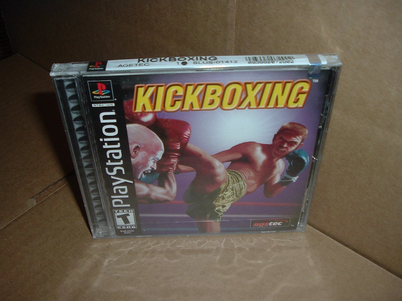 kickboxing ps1