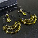 New fine ear rings