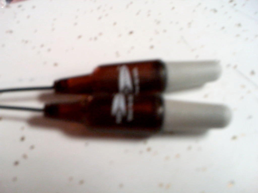 Beer Bottle Shaped Ear Plugs