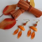 fallen leaves