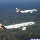 fly bologna-pasto