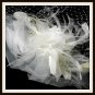 Captivating Birdcage Veil Comb w/ Feathers & Austrian Crystals