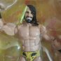 NEW WWE Seth Rollins Elite NXT Takeover Figure Target Exclusive
