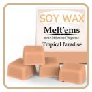 TROPICAL PARADISE Wax Melt