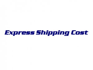 Express shipping cost