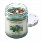 Cucumber Mint Garden Candle